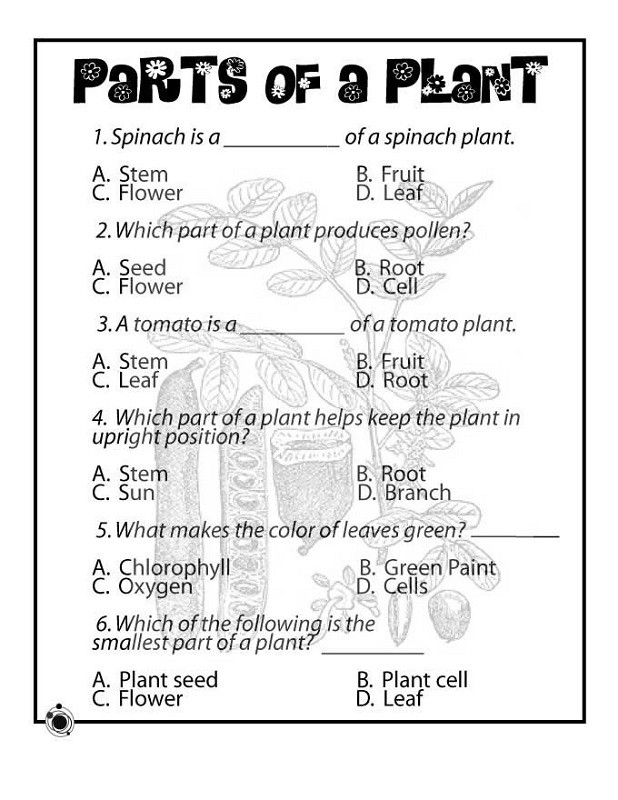 Second Grade Science Worksheets Free Free Science Worksheets