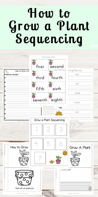 Sequencing Worksheets for Kindergarten Free Grow A Plant Sequencing Worksheets