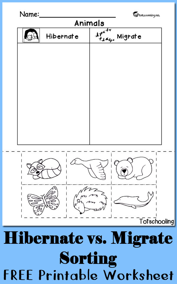 Sorting Worksheets for Kindergarten Hibernation Vs Migration Animal sorting Worksheet