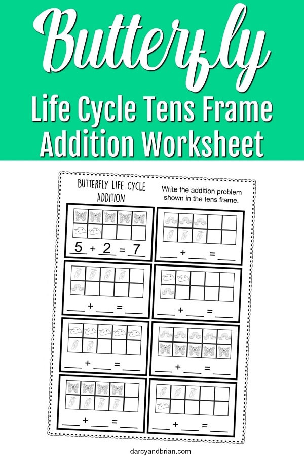 Ten Frame Worksheets for Kindergarten Worksheet butterfly Frame Worksheet Pin Life Cycle
