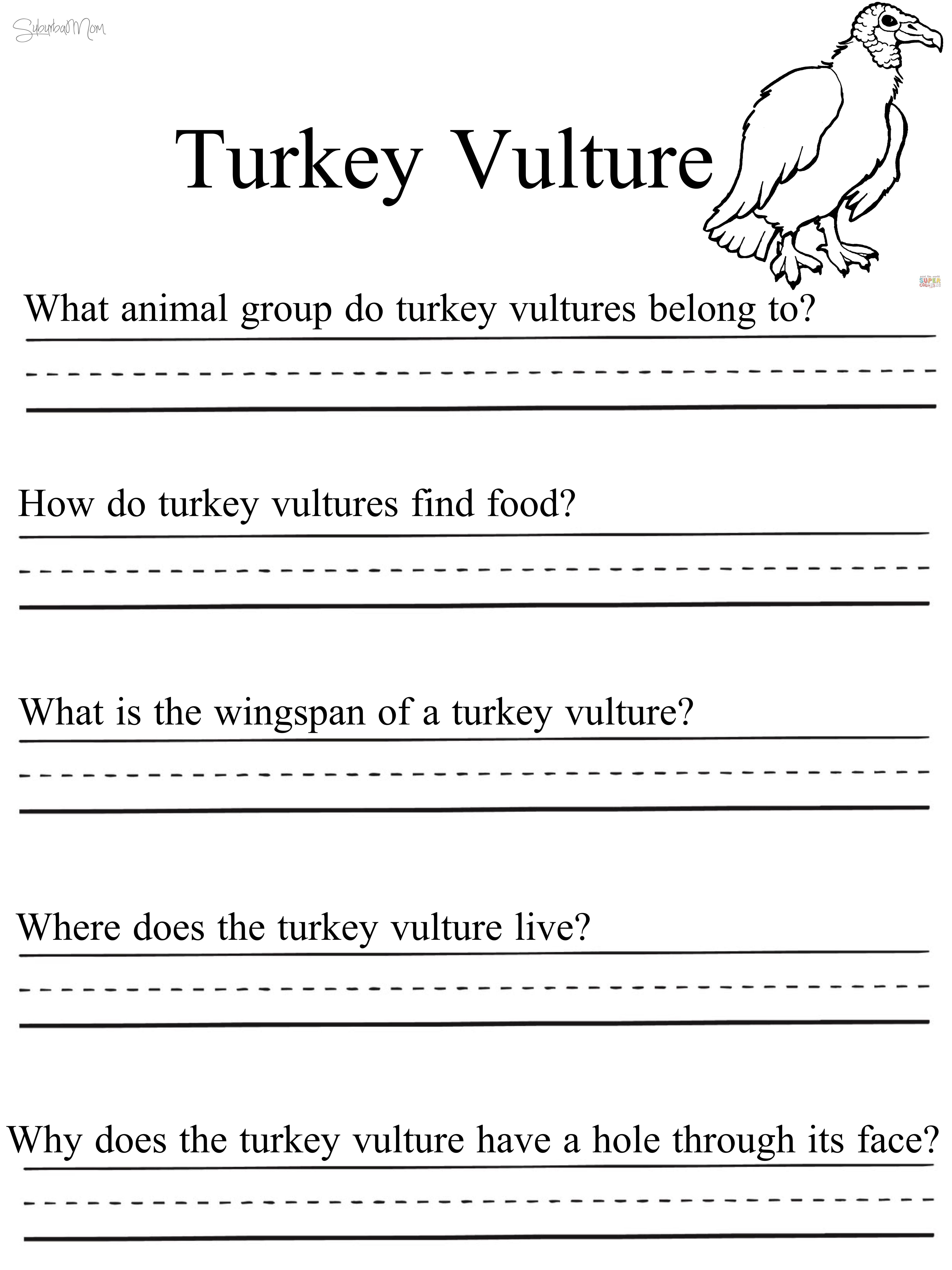 2nd Grade Habitat Worksheets Animal Research Projects