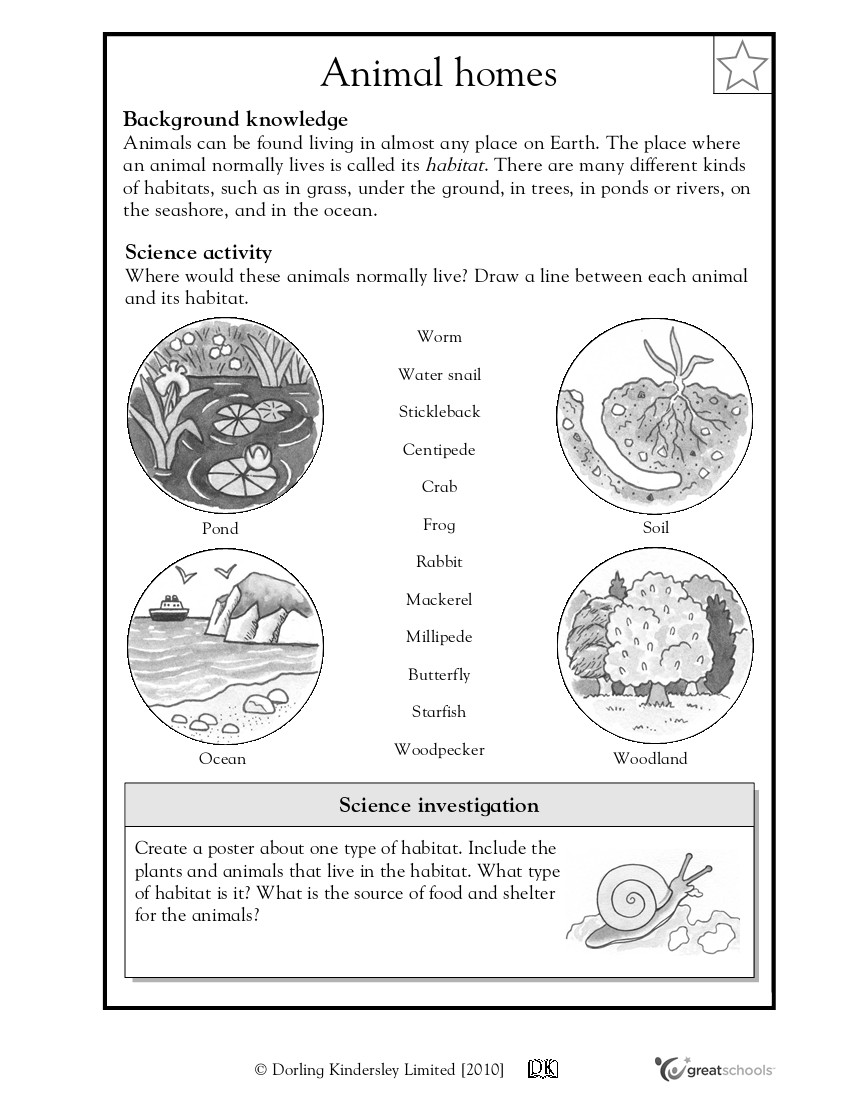 2nd Grade Habitat Worksheets Ocean Worksheets for 4th Grade Kidz Activities