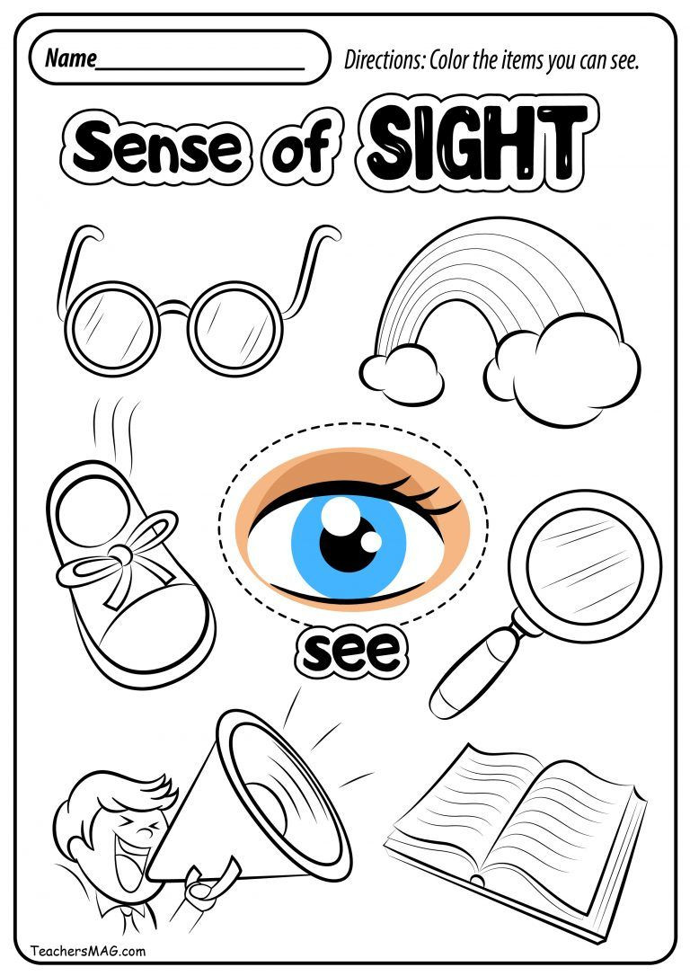 5 Senses Worksheet Preschool Free Five Senses Worksheets with Images