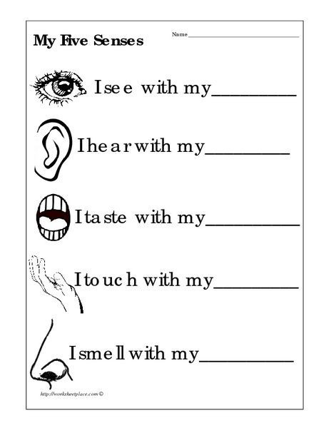5 Senses Worksheet Preschool the Five Senses Worksheets