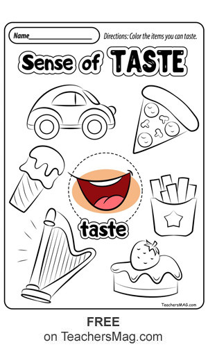 5 Senses Worksheets Preschool Free Five Senses Worksheets