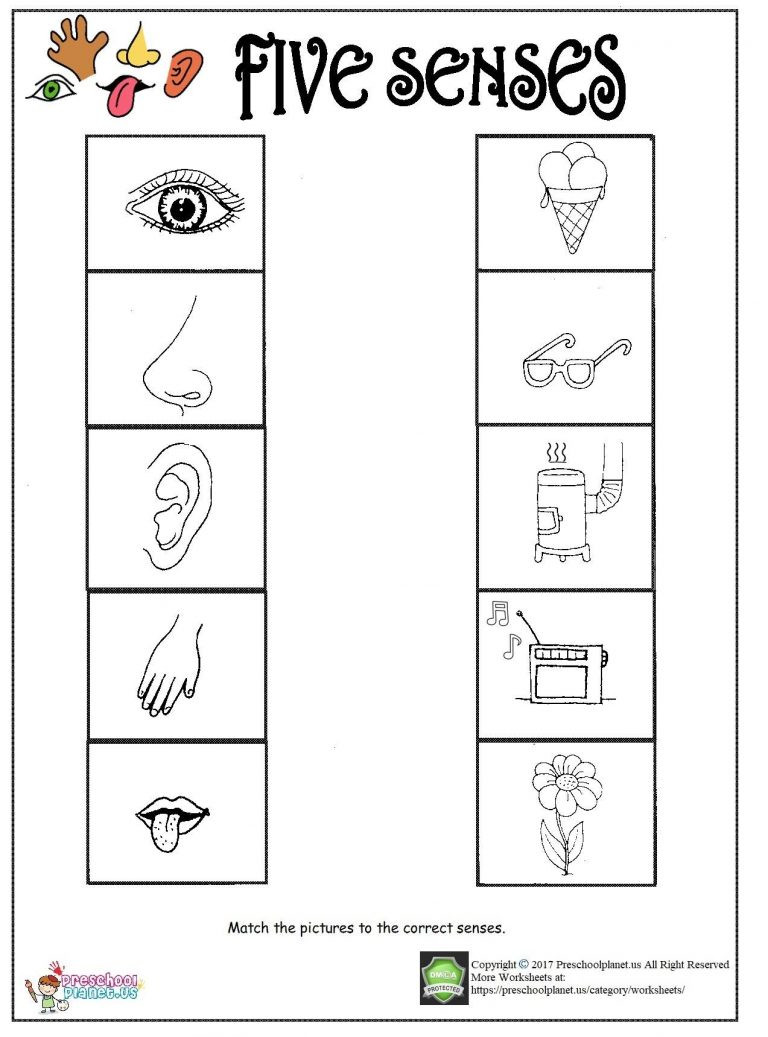 5 Senses Worksheets Preschool Printable Five Senses Worksheet – Preschoolplanet