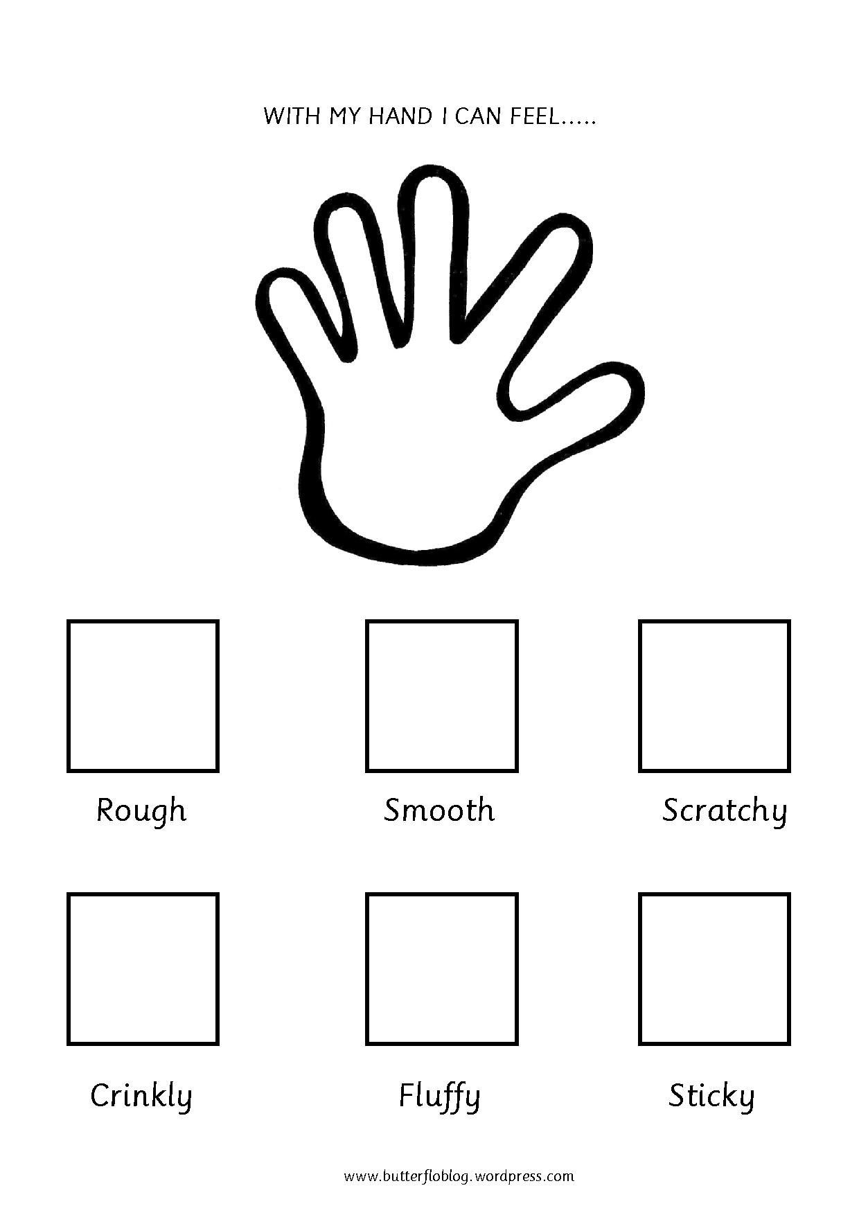 5 Senses Worksheets Preschool the Five Senses touch