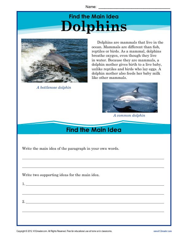 5th Grade Main Idea Worksheet 5th Grade Main Idea Worksheet About Dolphins