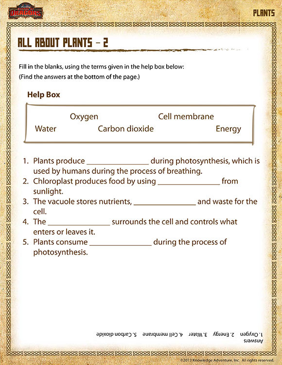 5th Grade Science Worksheets All About Plants – 2 View – Printable Science Worksheet for