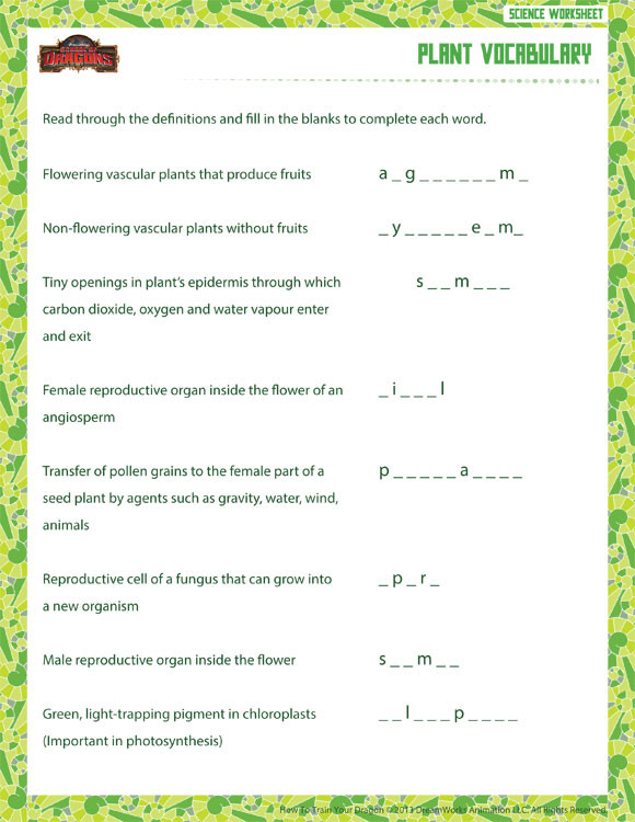 6th Grade Science Worksheets Plant Vocabulary View – 6th Grade Life Science Worksheet – sod