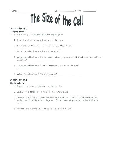 7th Grade Life Science Worksheets Free Printable 7th Grade Science Worksheets – Goodaction