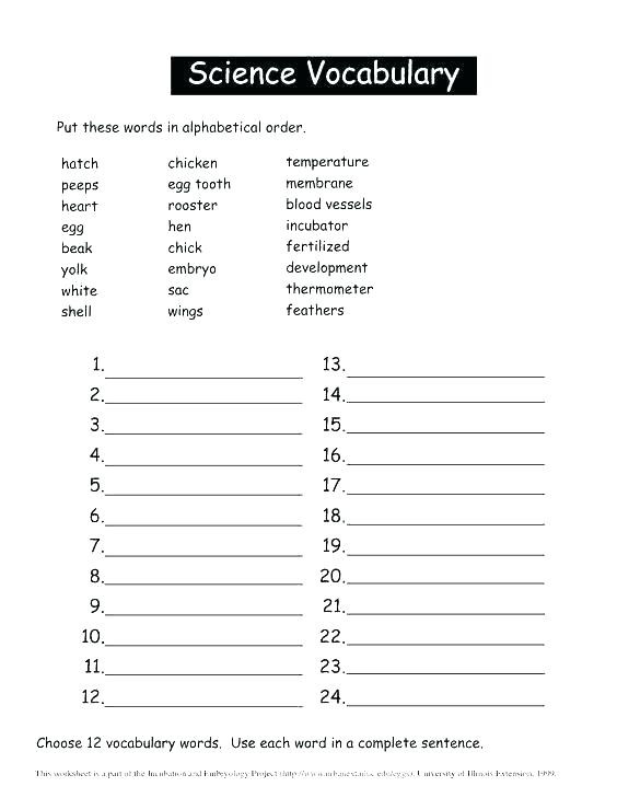 7th Grade Science Worksheets Science Worksheets 7th Grade – Omgstories