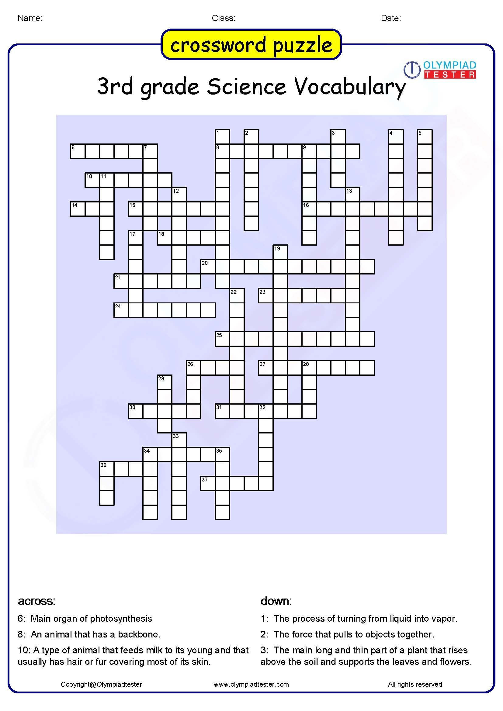 8th Grade Math Vocabulary Crossword Vocabulary Crossword Puzzle Pdf ÙÙ ÙØ³Ø¨Ù ÙÙ ÙØ ÙÙ Ø§ÙØµÙØ±