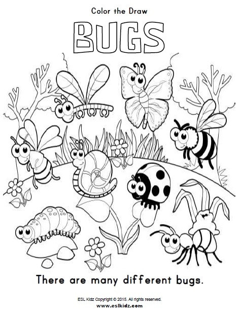 Bug Worksheets for Preschool Bugs Activities Games and Worksheets for Kids