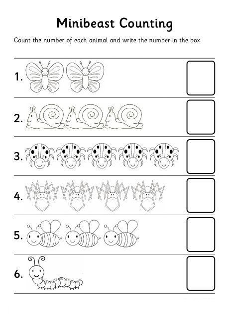 Bug Worksheets for Preschool Bugs Count Number Worksheet