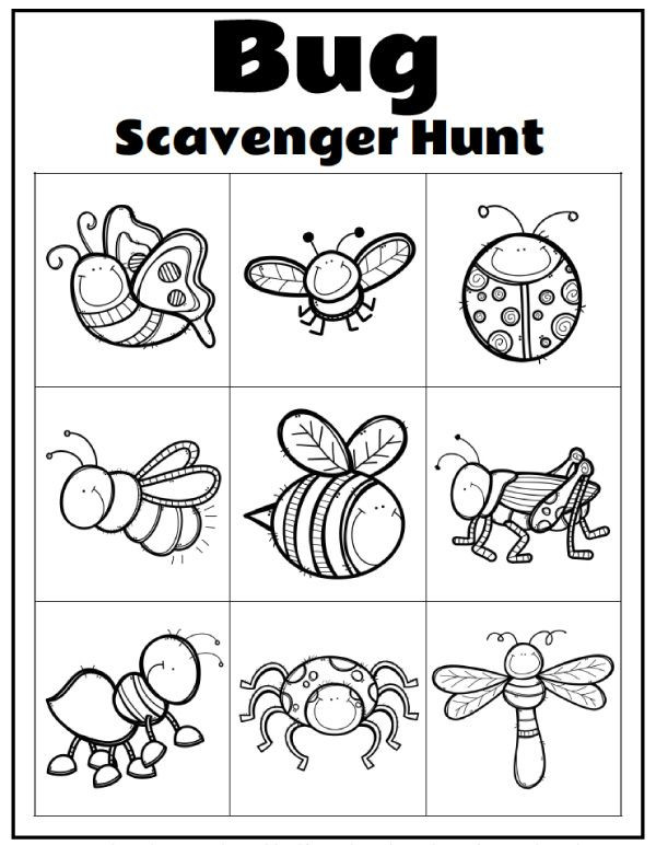 Bug Worksheets for Preschool Printable Preschool Bug Activities for Learning &amp; Fun In