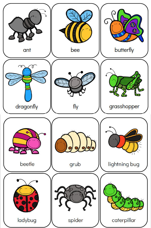 Bug Worksheets for Preschool Printable Preschool Bug Activities for Learning &amp; Fun
