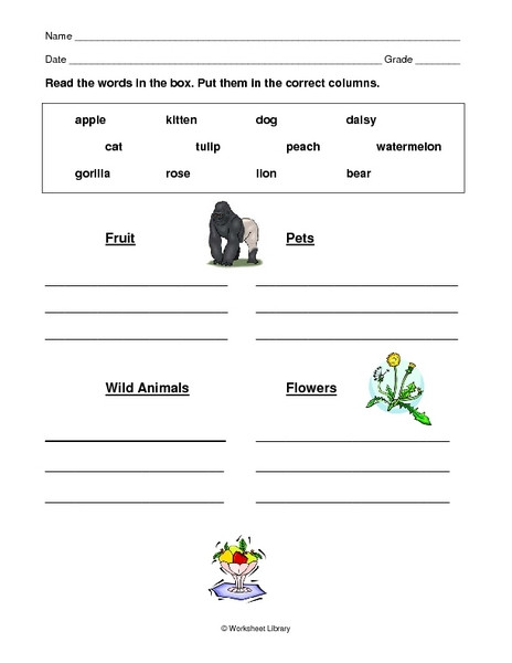 Categorizing Worksheets for 1st Grade Categorizing Words 2 Worksheet for 1st 3rd Grade