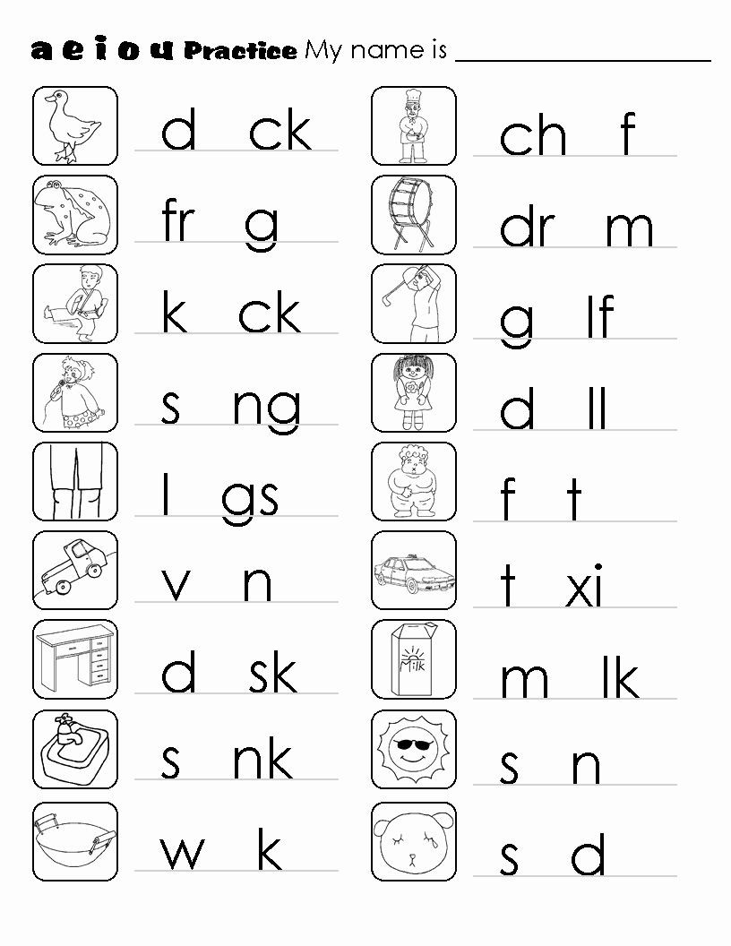 Ck Worksheets for 1st Grade 1st Grade Books About Plants for Kindergarten Print Font