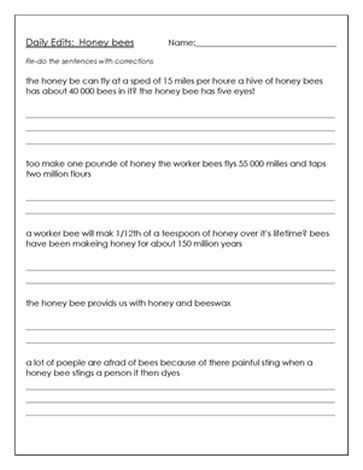 Editing Worksheet 3rd Grade Editing Worksheet About Bees Insect A Inspect A