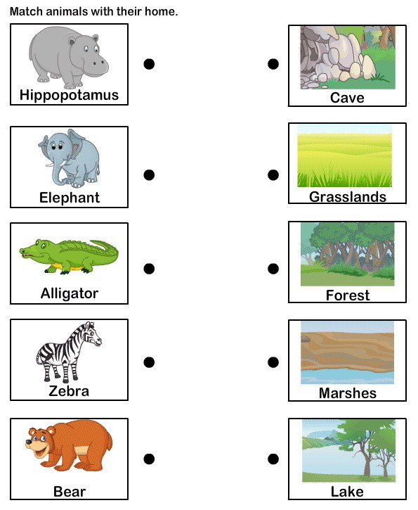 Habitat Worksheets for 1st Grade Animal Habitats for Kids Worksheets