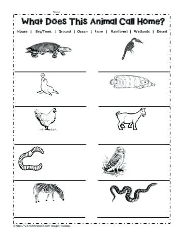 Habitat Worksheets for 1st Grade Animals In their Habitats Worksheets – Keepyourheadup