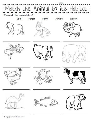Habitat Worksheets for 1st Grade Match the Animals to their Habitat