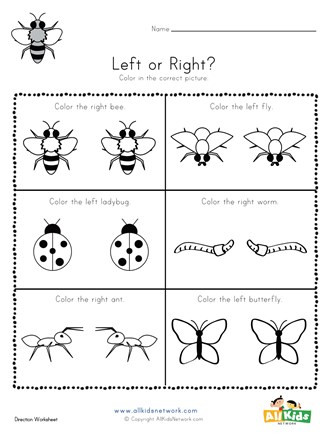 Insect Worksheets for First Grade Bugs Left and Right Worksheet