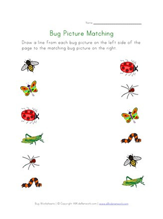 Insect Worksheets for First Grade Bugs Worksheet for Kids Picture Matching