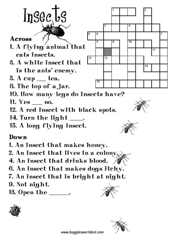 Insect Worksheets for First Grade Insect Worksheets