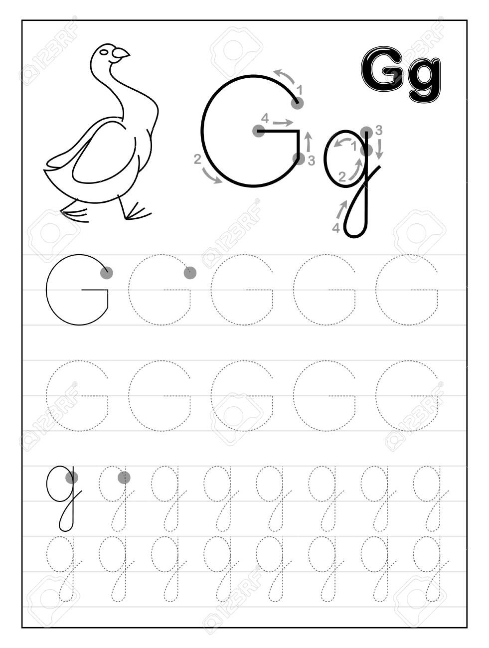 Letter G Tracing Worksheets Preschool Tracing Alphabet Letter G Black and White Educational Pages