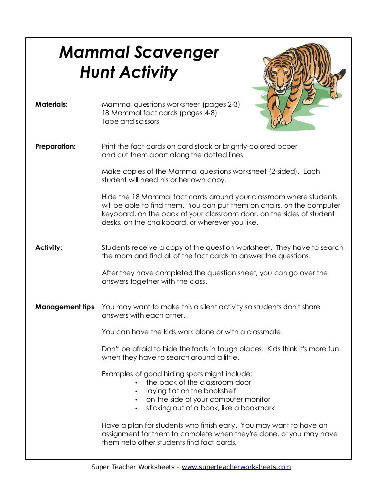Mammals Worksheet First Grade Mammal Scav Hunt Mamma
