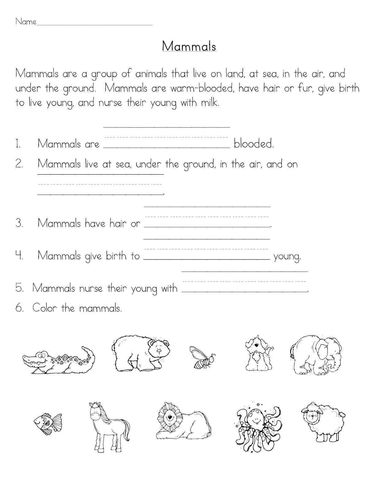 Mammals Worksheet First Grade Mammals