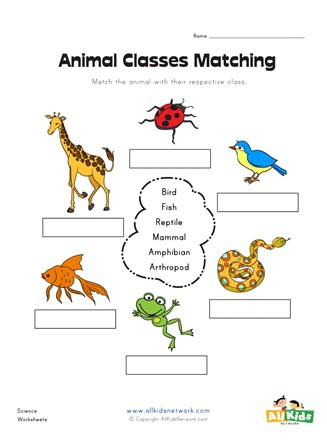 Mammals Worksheets for 2nd Grade Animal Class Matching Worksheet