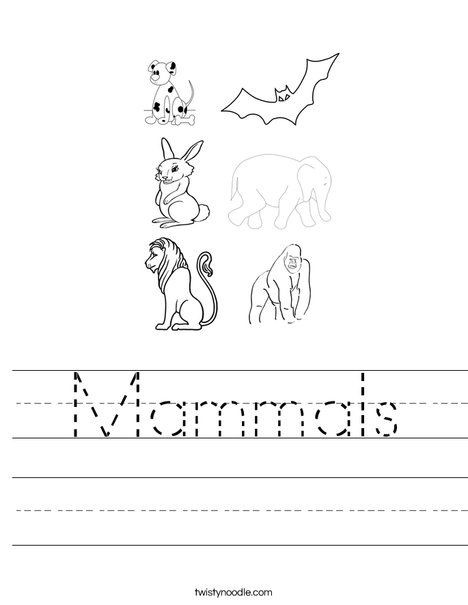 Mammals Worksheets for 2nd Grade Mammals Worksheet