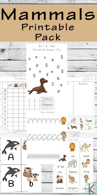 Mammals Worksheets for 2nd Grade Mammals Worksheets for Kids