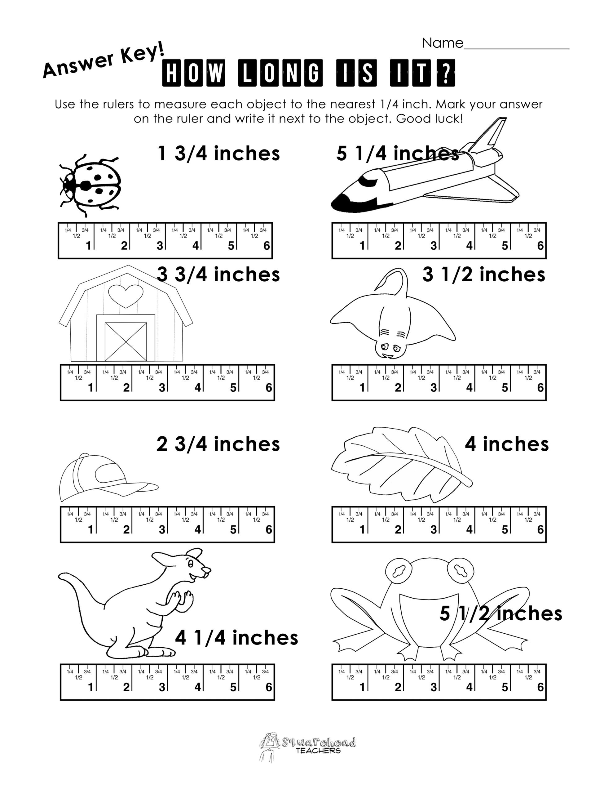 Measurement Worksheets for 3rd Grade Math Worksheet Ruler Worksheet Answer Key Copy Measurement