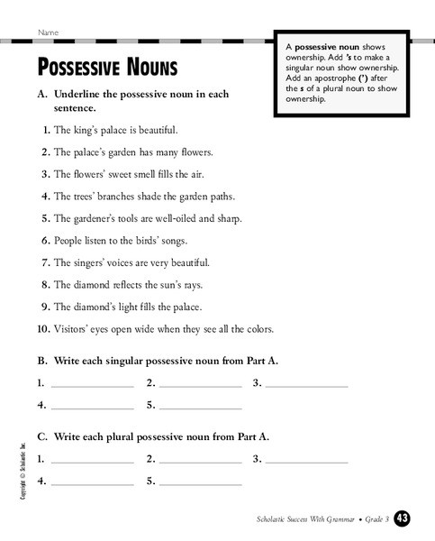 Possessive Pronouns Worksheet 2nd Grade Possessive Nouns Worksheet for 2nd 4th Grade