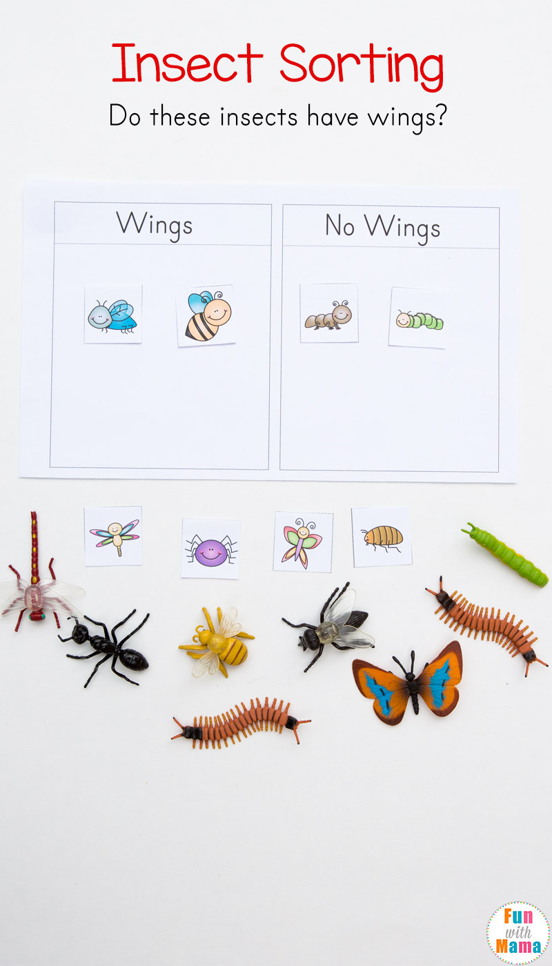 Preschool Bug Worksheets Preschool Insect theme sorting Worksheet Bug Activities