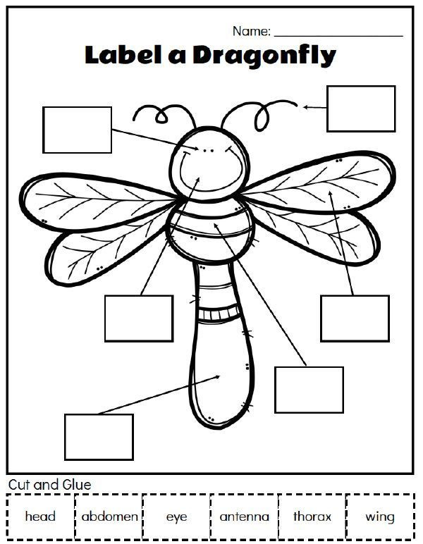 Preschool Bug Worksheets Printable Preschool Bug Activities for Learning &amp; Fun