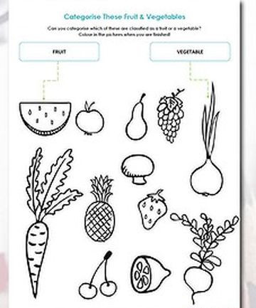 Preschool Fruits and Vegetables Worksheets Fruit and Ve Able Categoriser