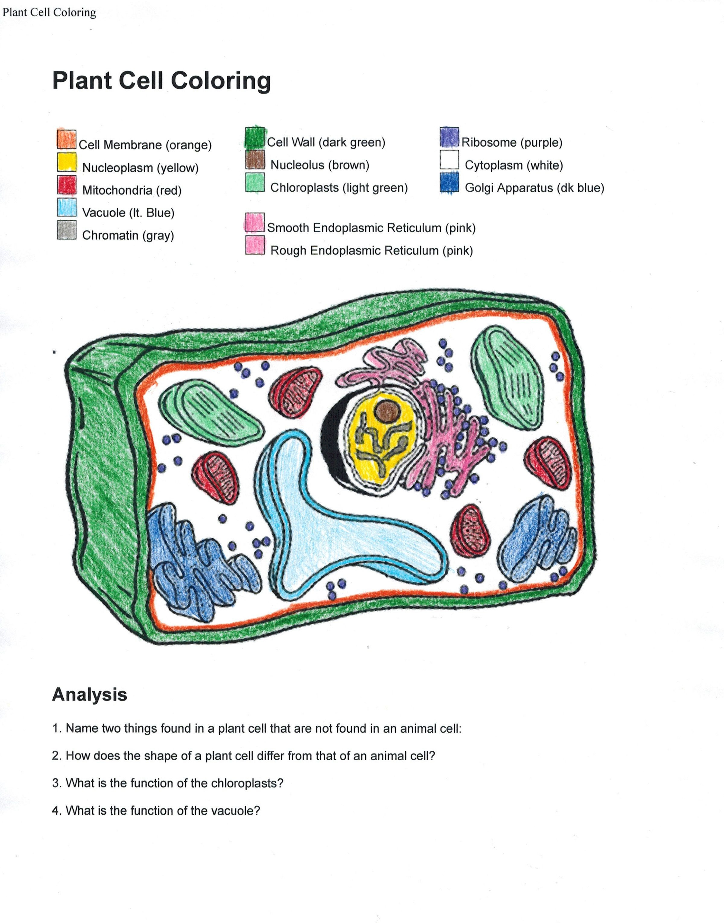 Printable Animal Cell Diagram Ms 5499] Plant Cell Membrane Diagram Labeled Wiring Diagram