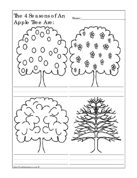 Seasons Worksheets for First Grade the 4 Seasons Of An Apple Tree are Worksheet for