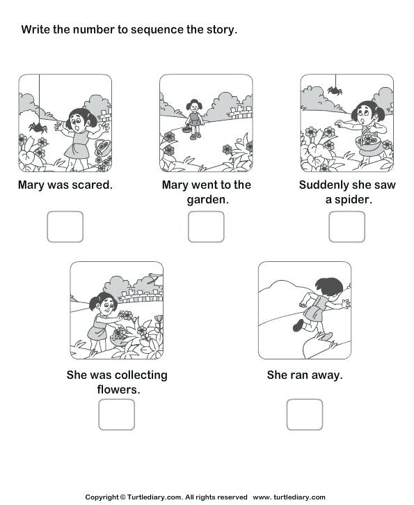 Sequence Worksheets for 1st Grade Sequence Worksheet Download and Print Turtle Story